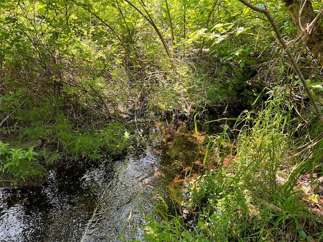 view of nature featuring a water view