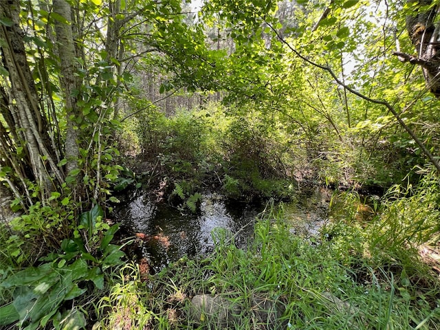 view of mother earth's splendor featuring a water view