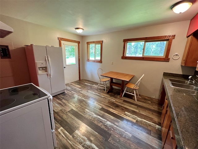 kitchen with white appliances, dark wood-type flooring, and sink