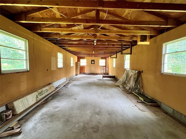 miscellaneous room with vaulted ceiling