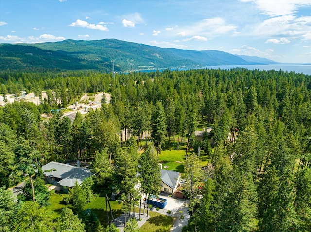 drone / aerial view featuring a mountain view