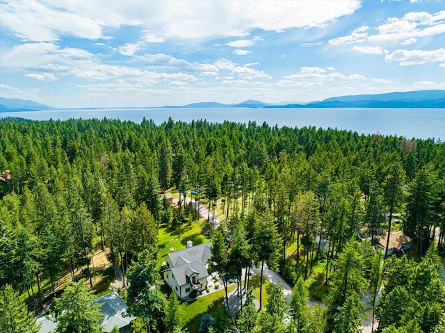 aerial view with a mountain view