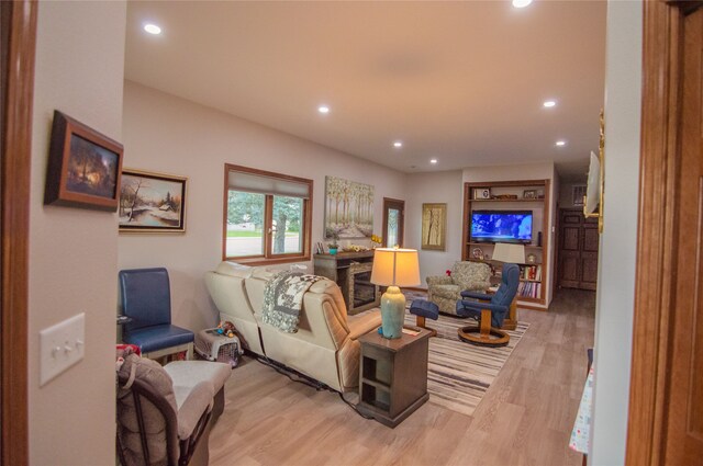 living room featuring hardwood / wood-style flooring