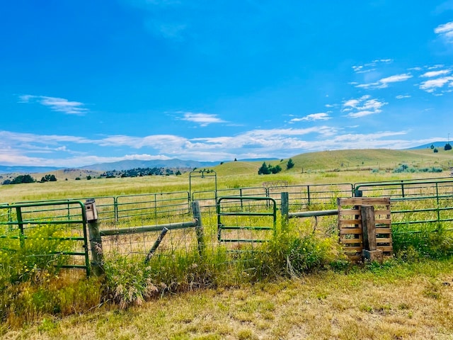 view of yard with a mountain view and a rural view