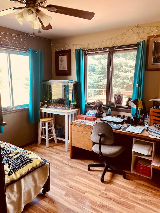 bedroom featuring ceiling fan and light hardwood / wood-style flooring