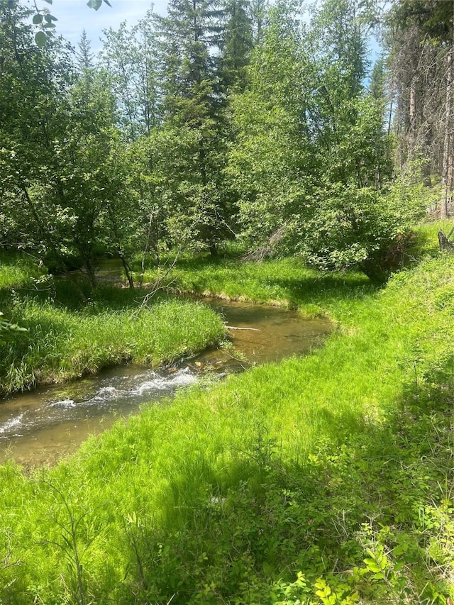 3971 Glen Lake Rd, Eureka, MT 59917 - view of undeveloped land