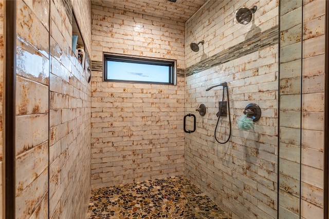 391 Skyline Dr, Hamilton, MT 59840 - full bathroom featuring a shower stall