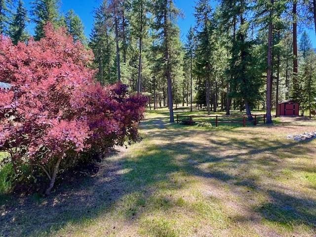 5 Osprey Dr E, Thompson Falls, MT 59873 - view of community with a storage unit