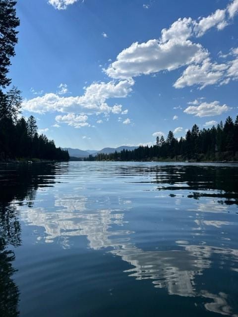 5 Osprey Dr E, Thompson Falls, MT 59873 - water view featuring mountains and a heavily wooded area