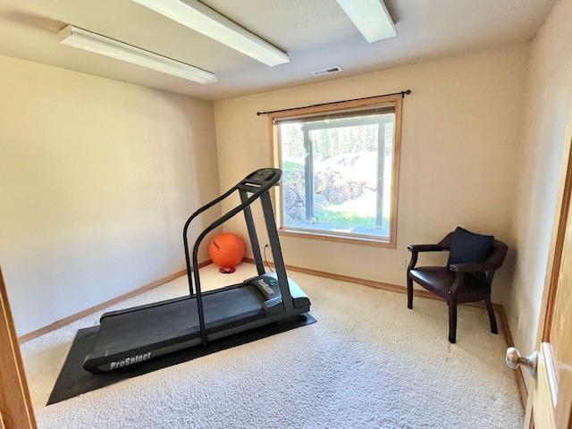 5 Osprey Dr E, Thompson Falls, MT 59873 - workout area with light carpet and baseboards