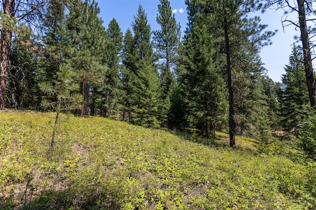 000 Thunder Rd, Victor MT, 59875 land for sale