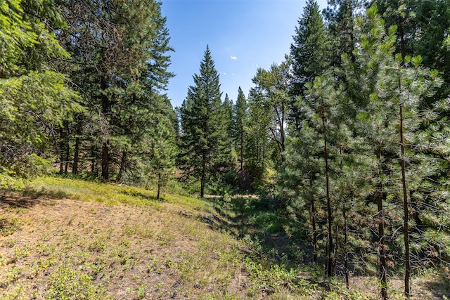 Listing photo 2 for 000 Thunder Rd, Victor MT 59875