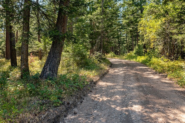 000 Gash Creek Rd, Victor MT, 59875 land for sale