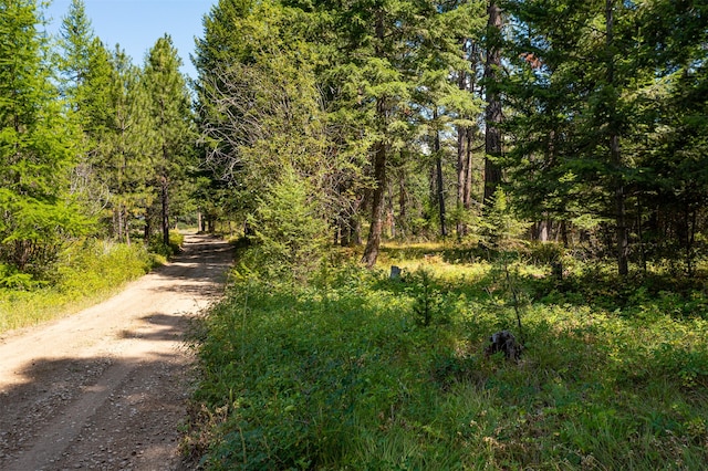 Listing photo 3 for 000 Gash Creek Rd, Victor MT 59875