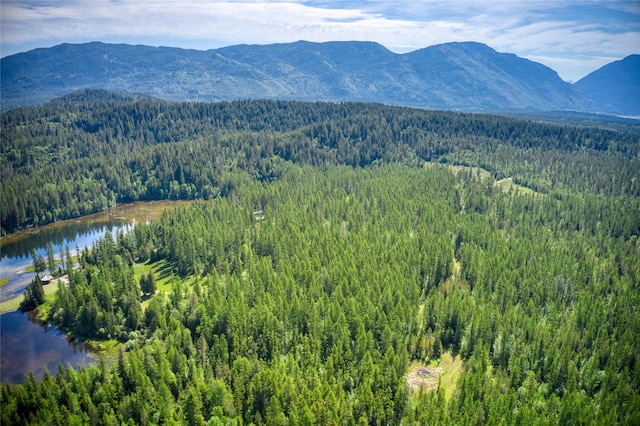 mountain view featuring a water view