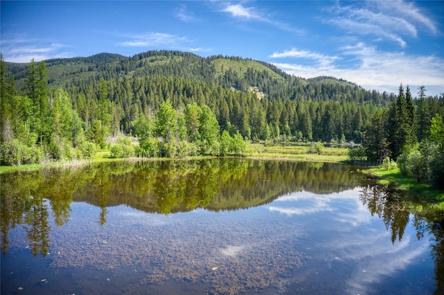 view of water feature with a mountain view