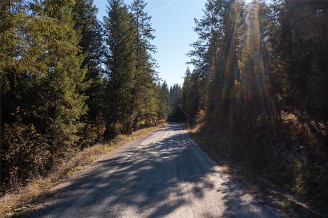 Listing photo 3 for 10ACRES Gut Creek Rd, Rexford MT 59930