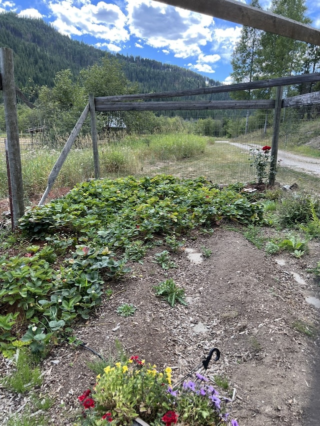 view of yard featuring a mountain view