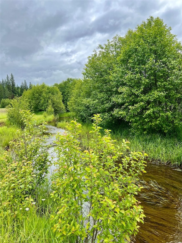 view of nature featuring a water view