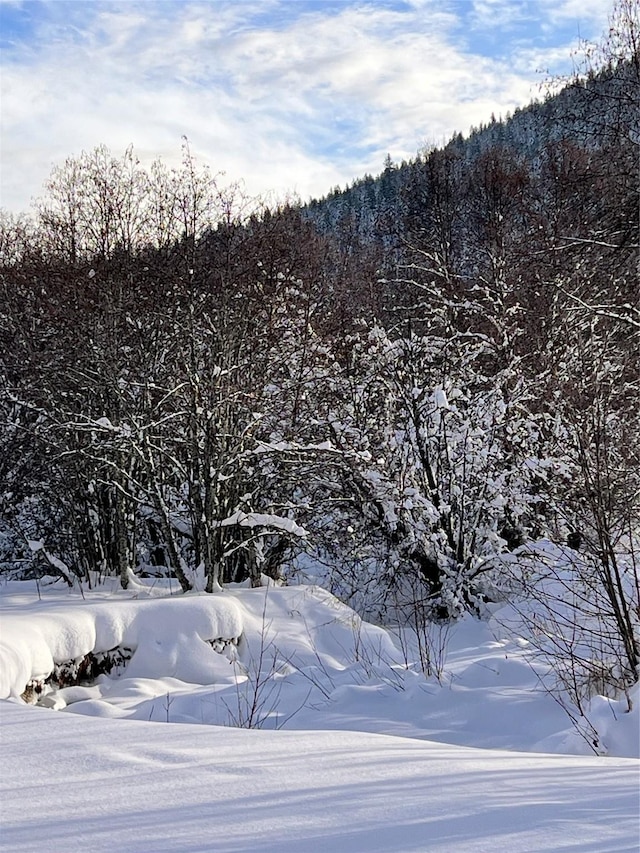 view of mountain feature