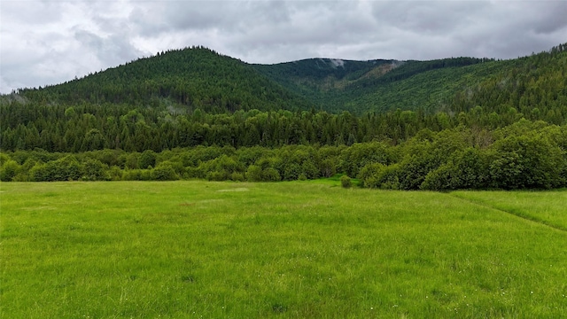 view of mountain feature