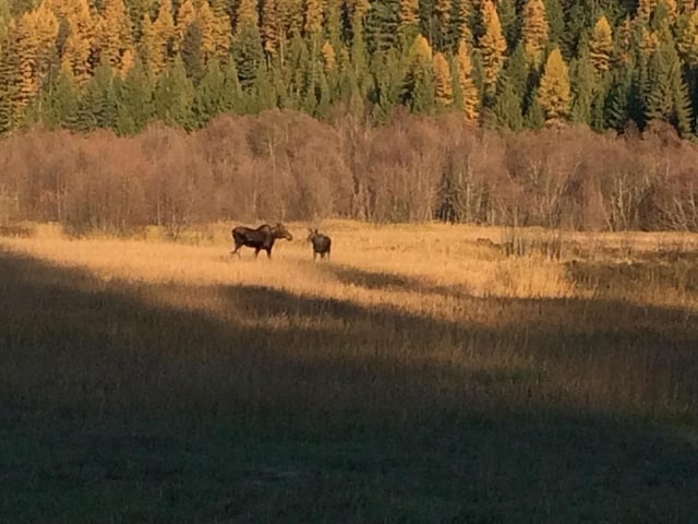 view of nature featuring a rural view