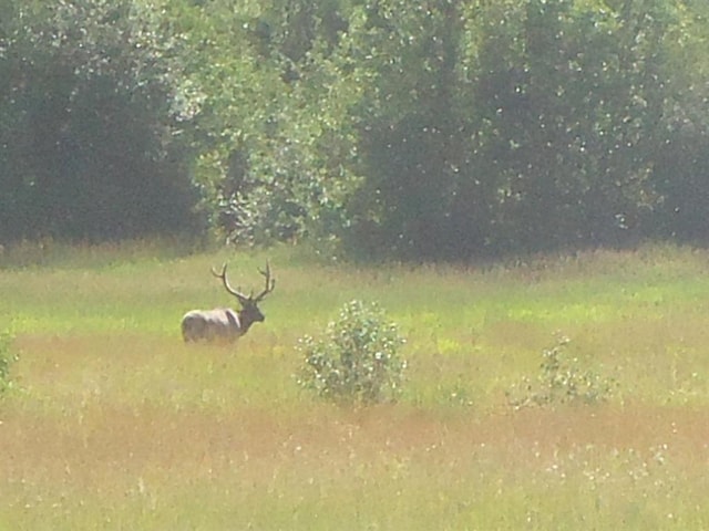 view of nature