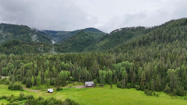 view of mountain feature