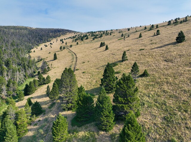 bird's eye view featuring a rural view