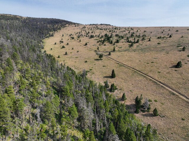 view of aerial view