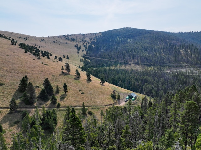 view of mountain view