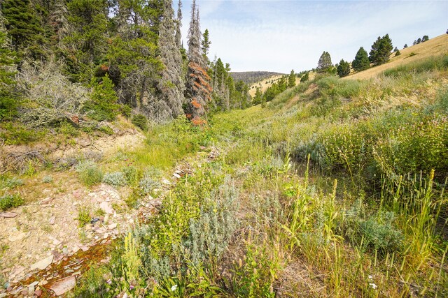 view of mother earth's splendor