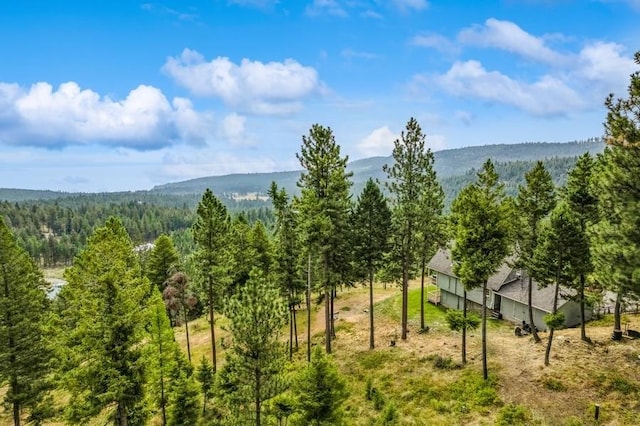 view of mountain feature featuring a wooded view