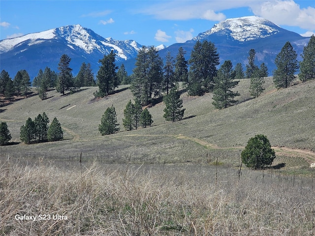 1173 Rugged Ridge Rd, Stevensville, MT 59870