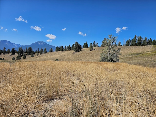 1173 Rugged Ridge Rd, Stevensville, MT 59870