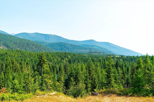 view of mountain view