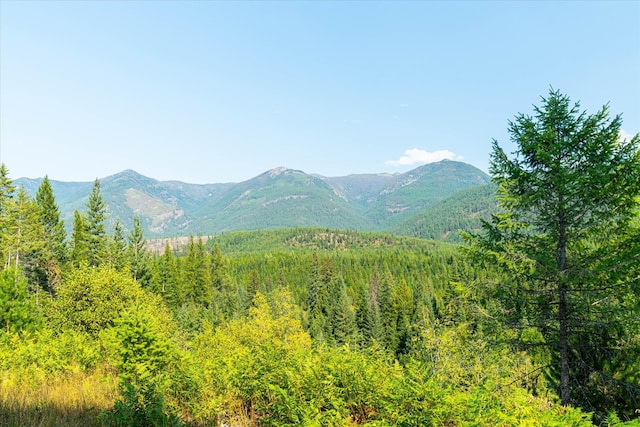 view of mountain view