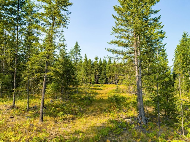 view of local wilderness