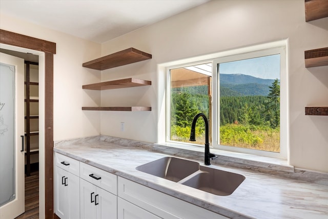 kitchen featuring white cabinets, light stone counters, hardwood / wood-style flooring, and sink