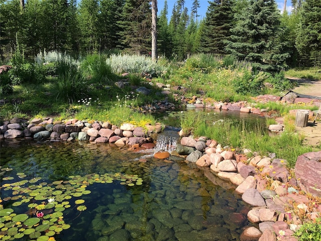 1350 Summit Park, Seeley Lake, MT 59868 - view of yard