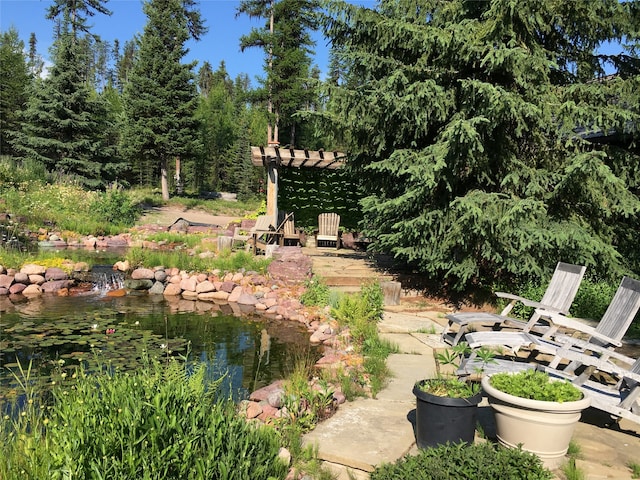 view of yard featuring a pergola