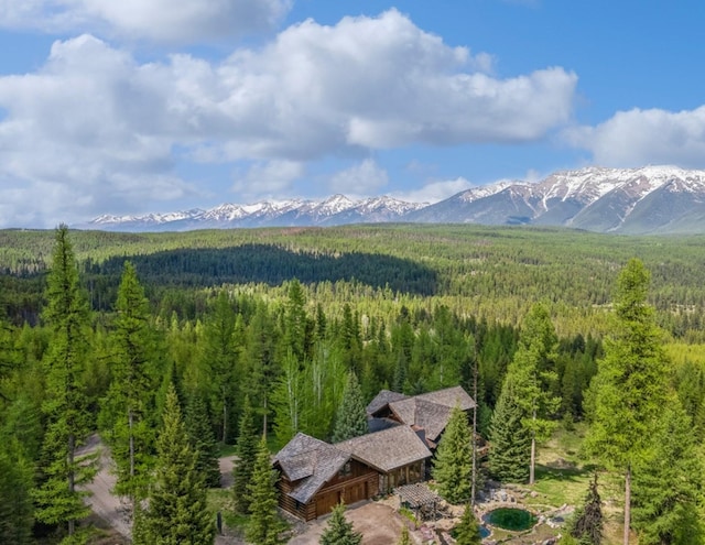 1350 Summit Park, Seeley Lake, MT 59868 - view of mountain background featuring a forest
