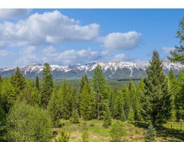 1350 Summit Park, Seeley Lake, MT 59868 - mountain view