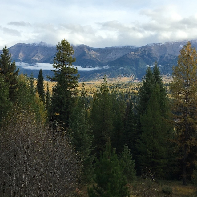 1350 Summit Park, Seeley Lake, MT 59868 - view of mountain backdrop featuring a forest