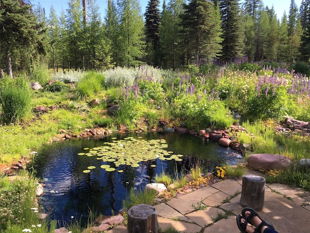 1350 Summit Park, Seeley Lake, MT 59868 - view of yard