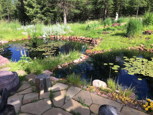 1350 Summit Park, Seeley Lake, MT 59868 - view of yard featuring a small pond