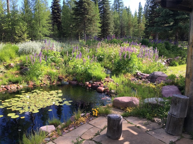 1350 Summit Park, Seeley Lake, MT 59868 - view of yard