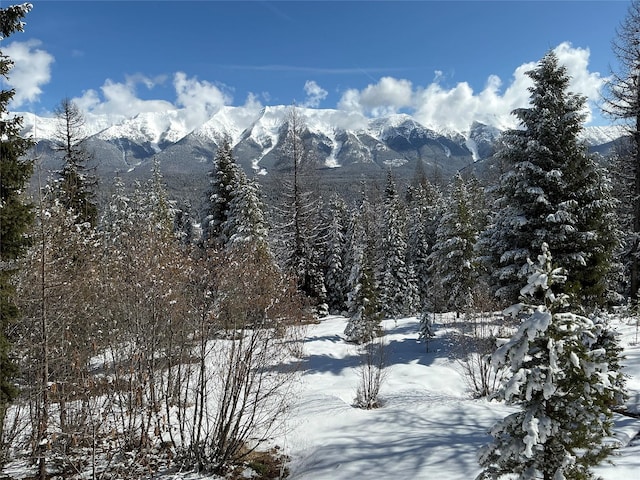 1350 Summit Park, Seeley Lake, MT 59868 - view of mountain backdrop