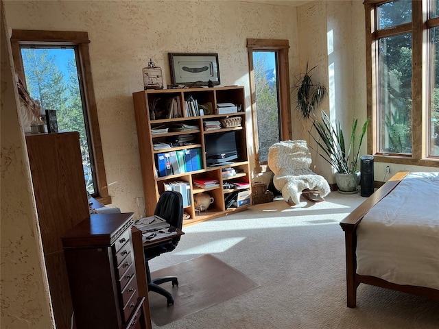 1350 Summit Park, Seeley Lake, MT 59868 - bedroom with multiple windows, an office area, carpet, and a textured wall