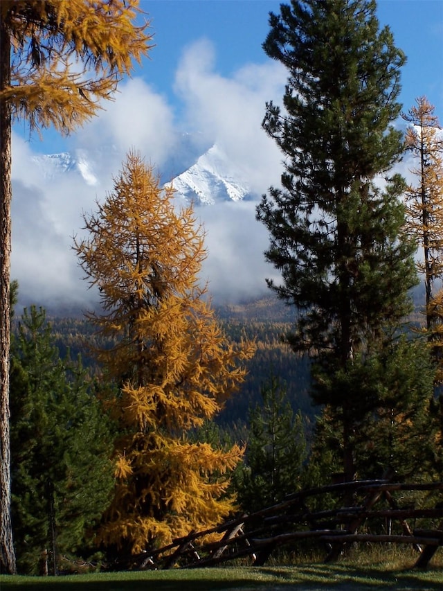 1350 Summit Park, Seeley Lake, MT 59868 - water view featuring a forest